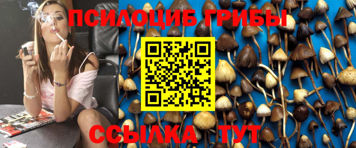 Кизляр  Галлюциногенные грибы мицелий  Вход с VPN 